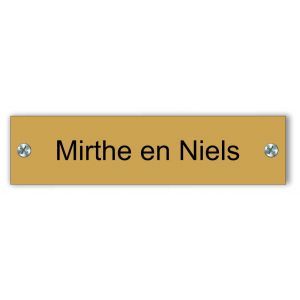 Kunststof naamplaatje tekst zwart 10x2,5cm goud