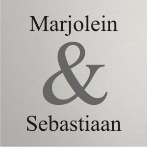 Mat aluminium naambordje voordeur 15x15cm
