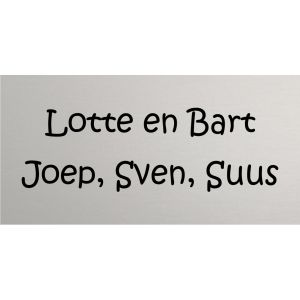 Mat aluminium naambordje voordeur 20x10cm